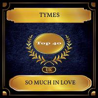 So Much In Love - Tymes (karaoke)