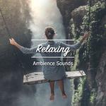 21 Relaxing Ambience Sounds for Chakra Balancing专辑