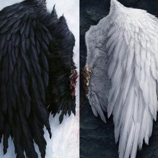 ——【 天使与魔鬼 〗——