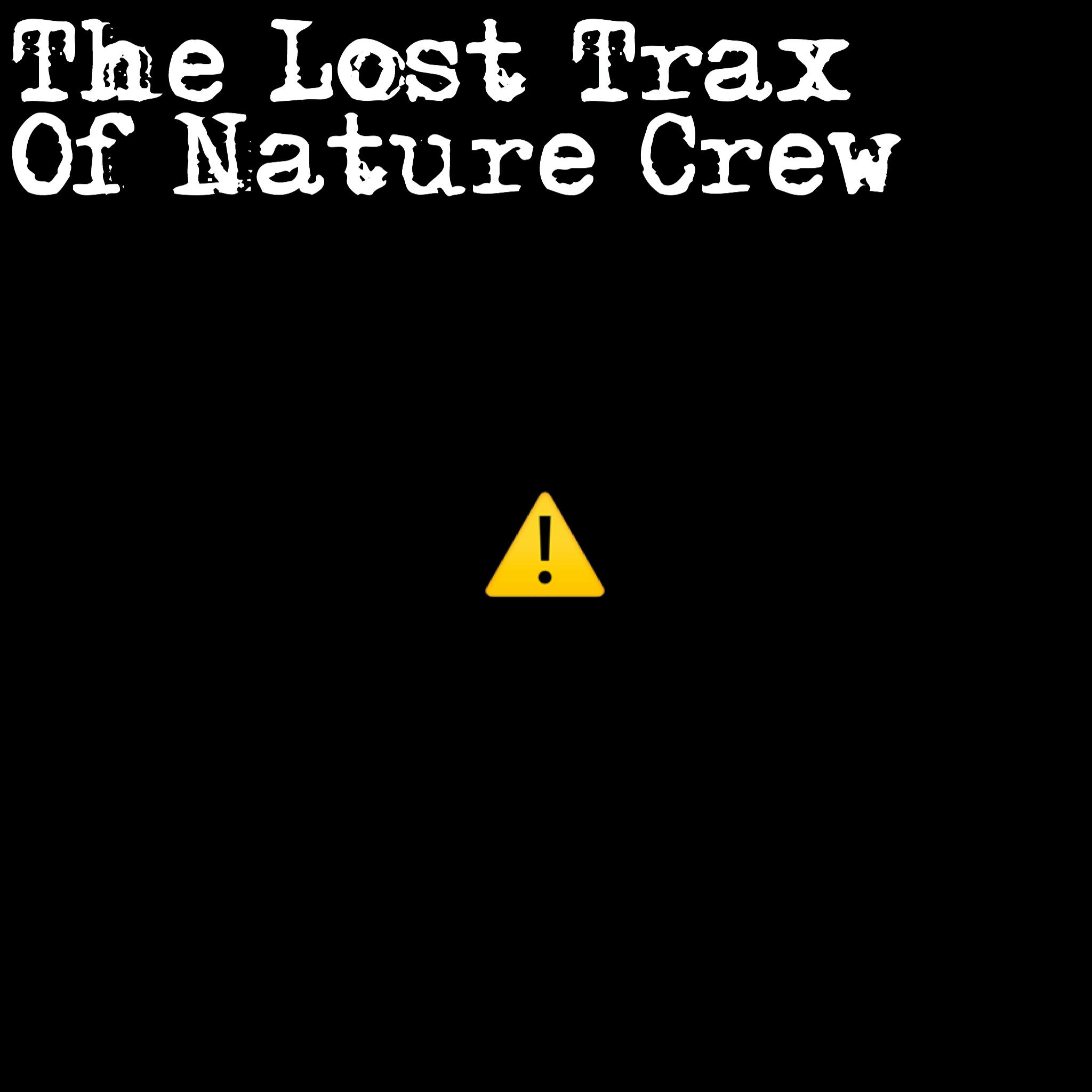 The Lost Trax专辑