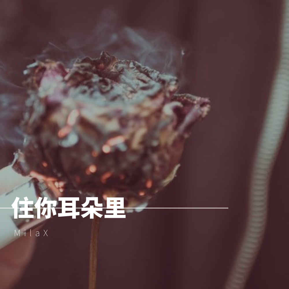 住你耳朵里