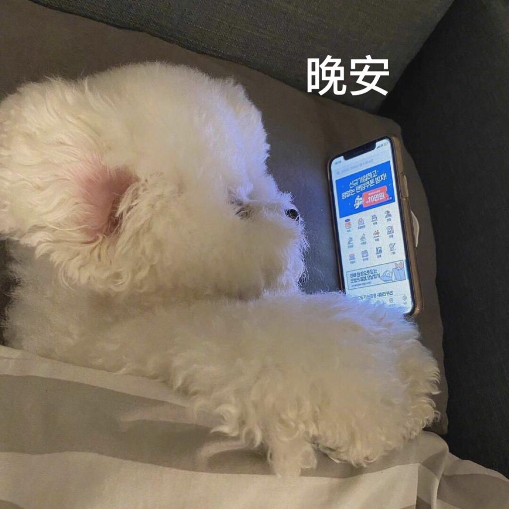 孤独的你在宇宙尽头唱歌