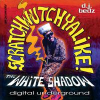 Weesom Hustlas - Digital Underground (instrumental)