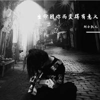 刘宏杰 - 有你生命有意义DJ伴奏(伴奏).mp3