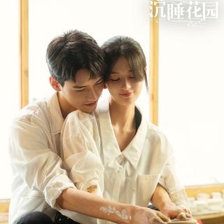沉睡花园 电视剧原声带