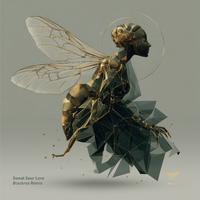 Hartmut Kiss, Insct - Sweat Sour Love (Blackrox Remix Extended) 124