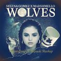 Wolves Avenus (Beater Cong & Miiracle Mashup)