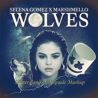 Selena Gomez x Marshmello-Wolves (instrumental)