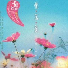 杨钰莹,毛宁《心雨吉他谱》G调_节奏轻巧灵动