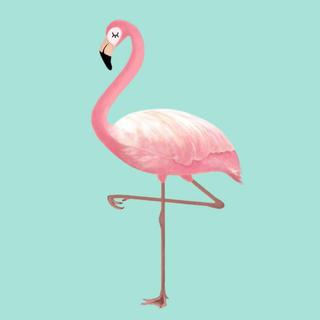 红鹤笔记Flamingo Fashion Notes