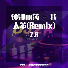 锤娜丽莎 - 我太笨(DjZR FunkyHouse Mix国语女)