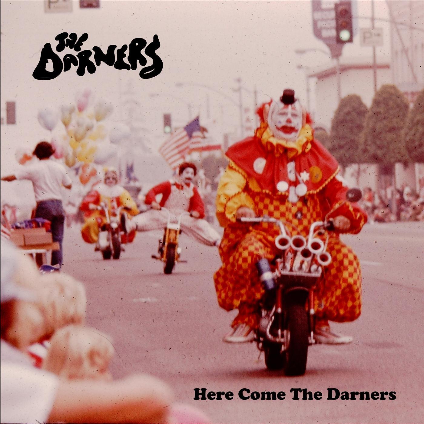 Here Come the Darners