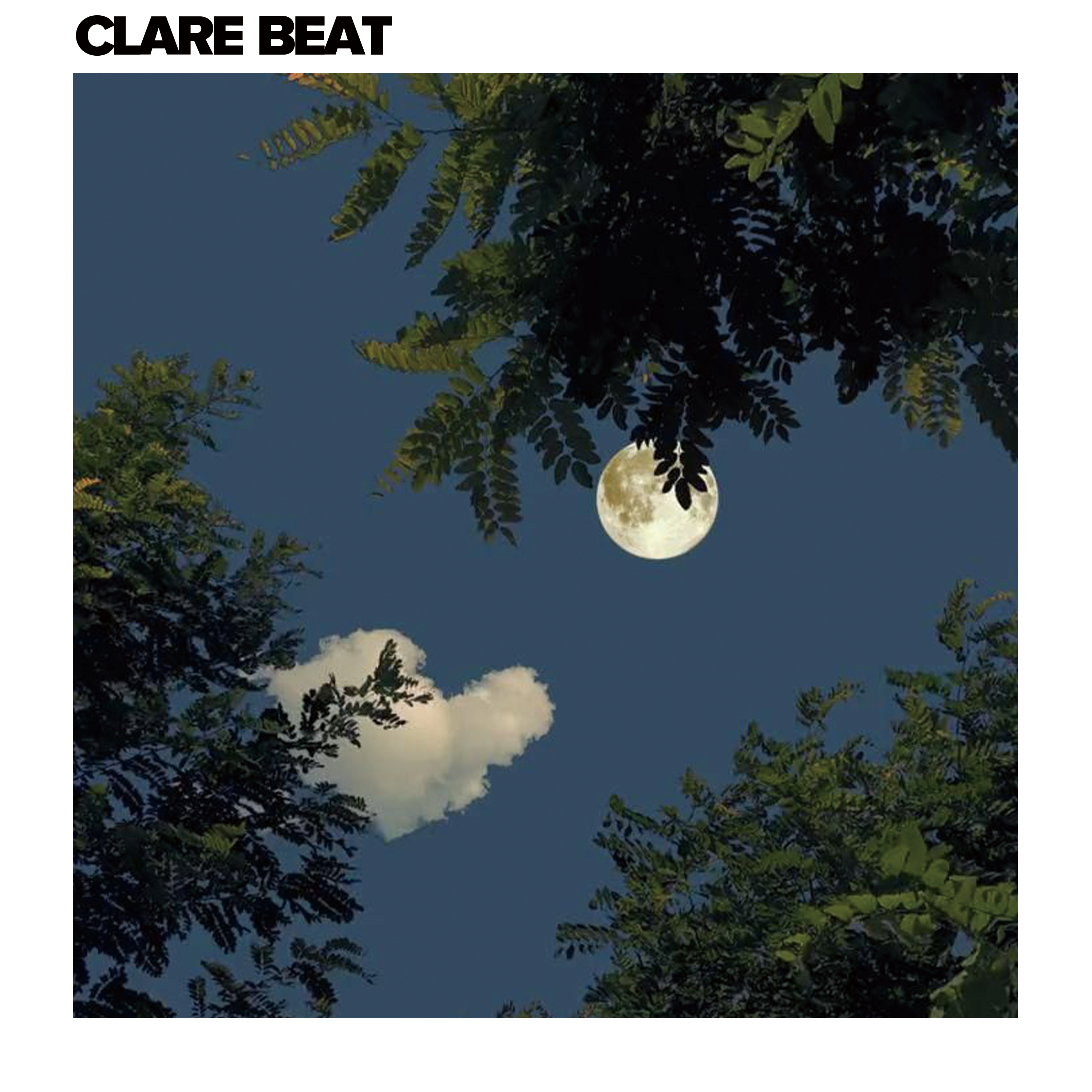 CLARE BEAT