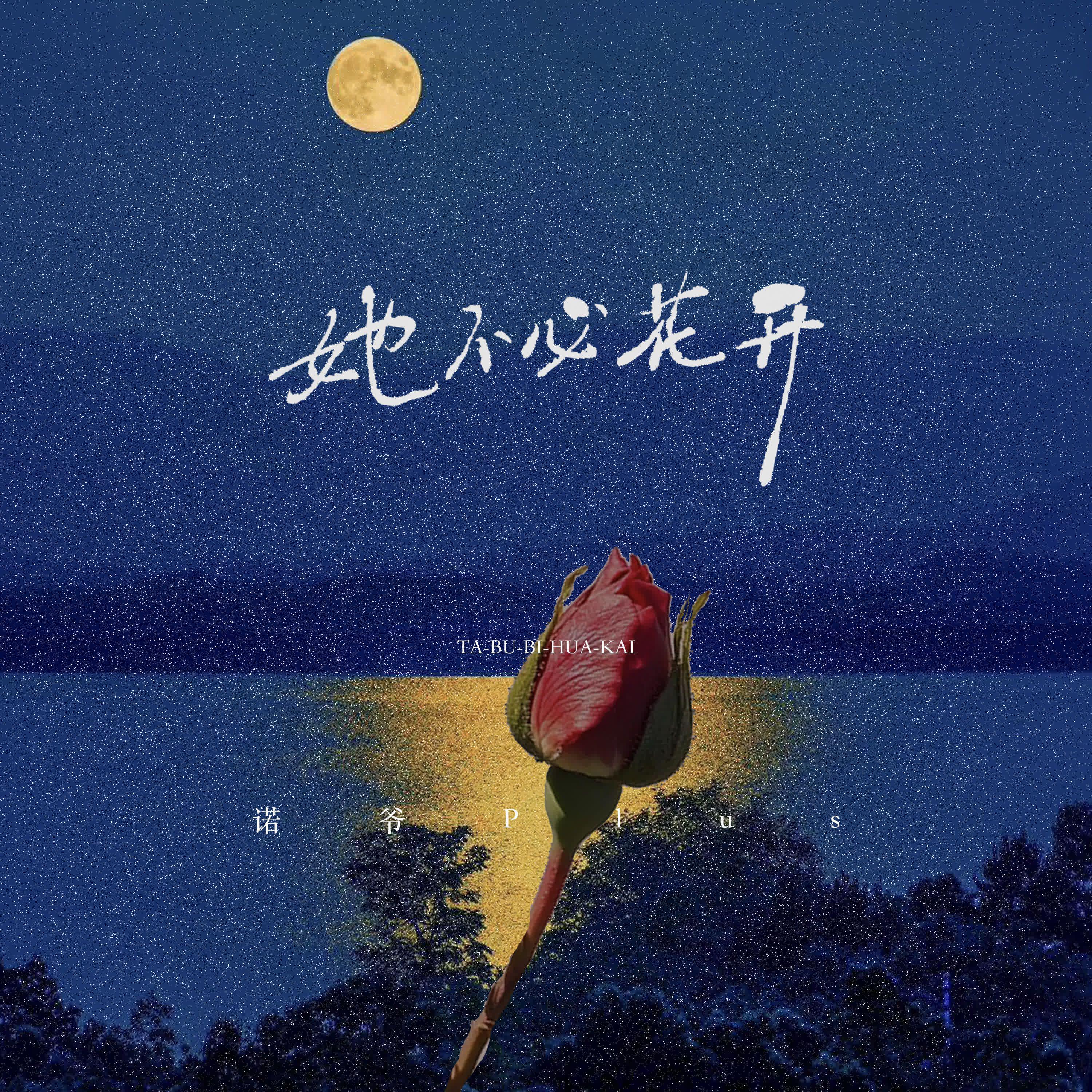 她不必花开专辑