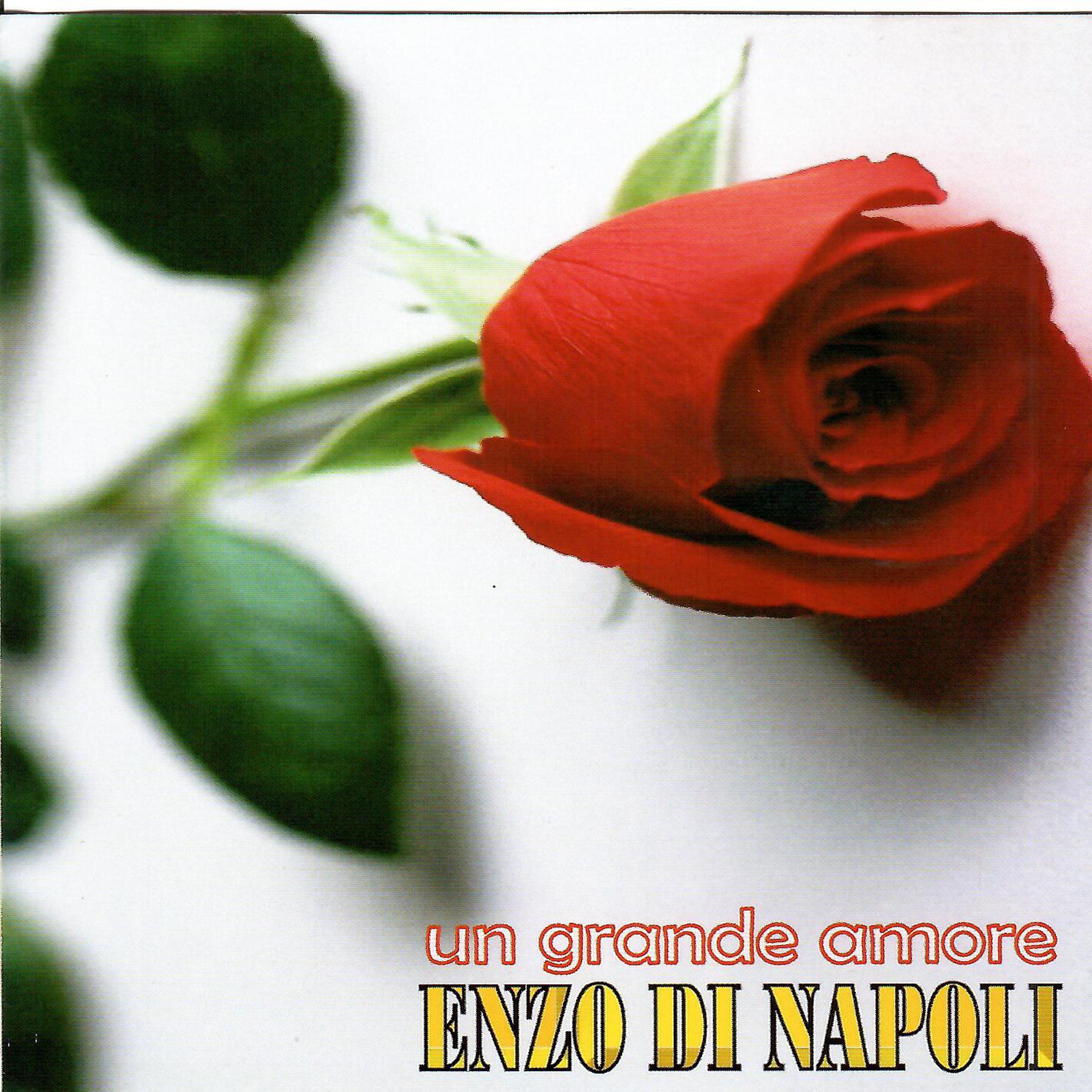 Un Grande Amore