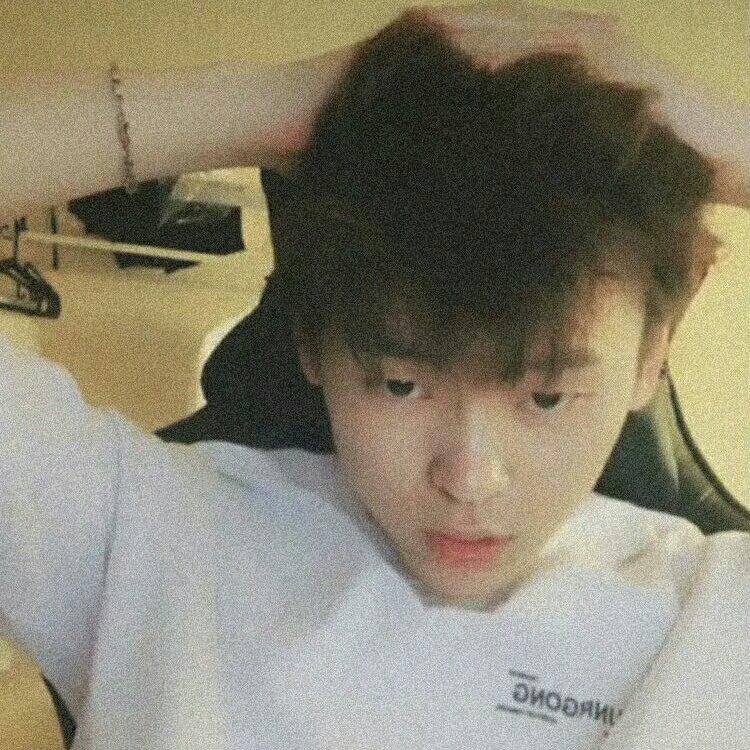 隔壁老樊的孤独