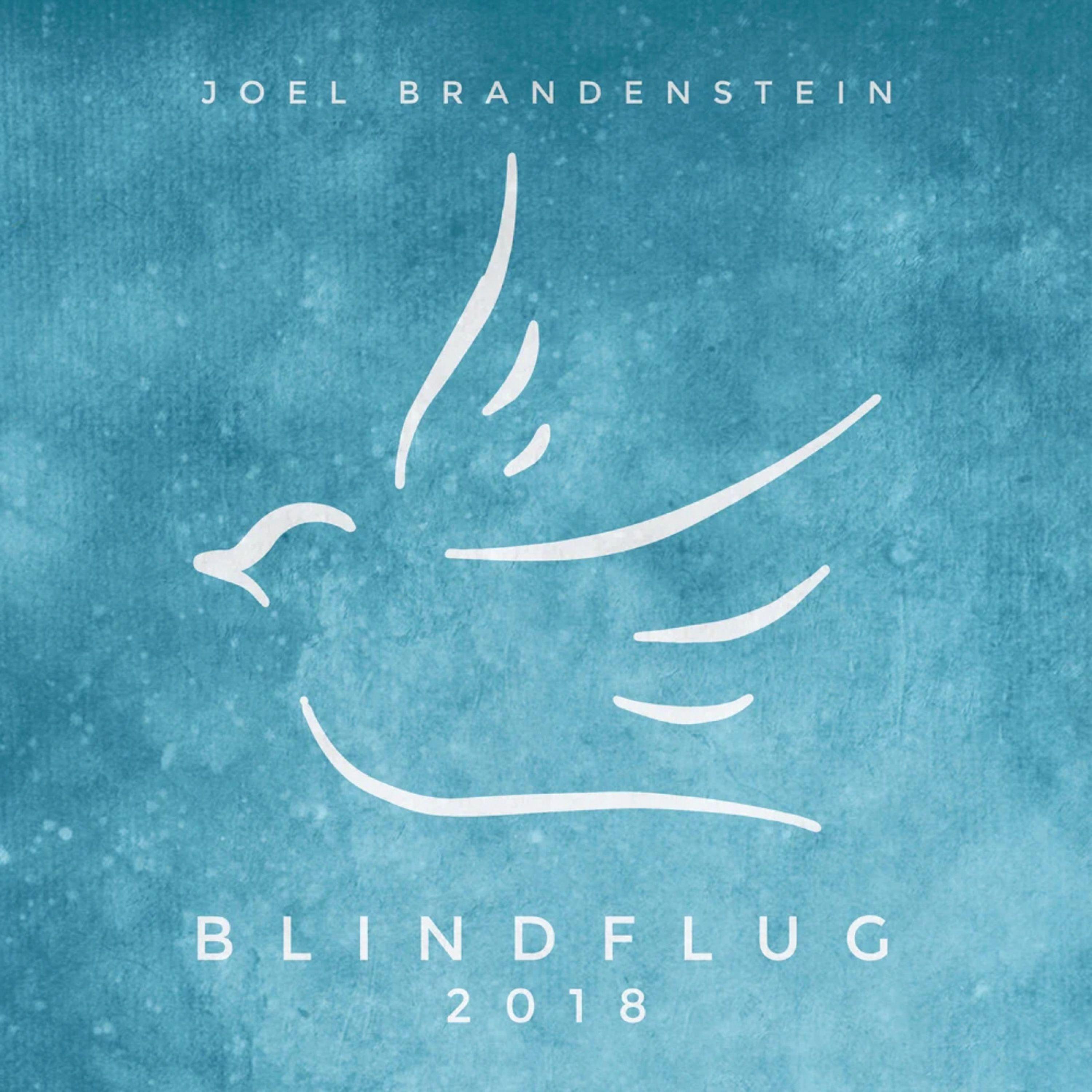 Blindflug (2018)