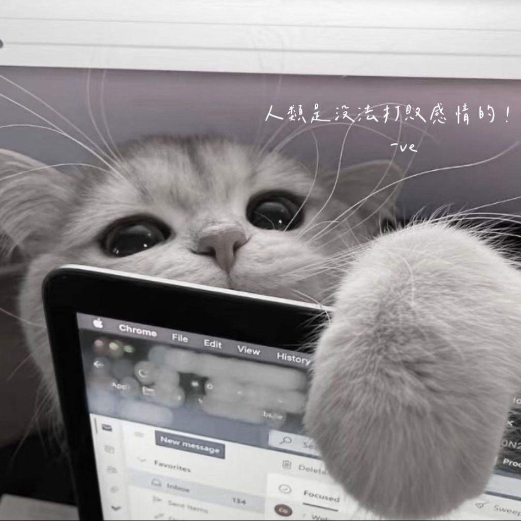 人类是没法打败感情的