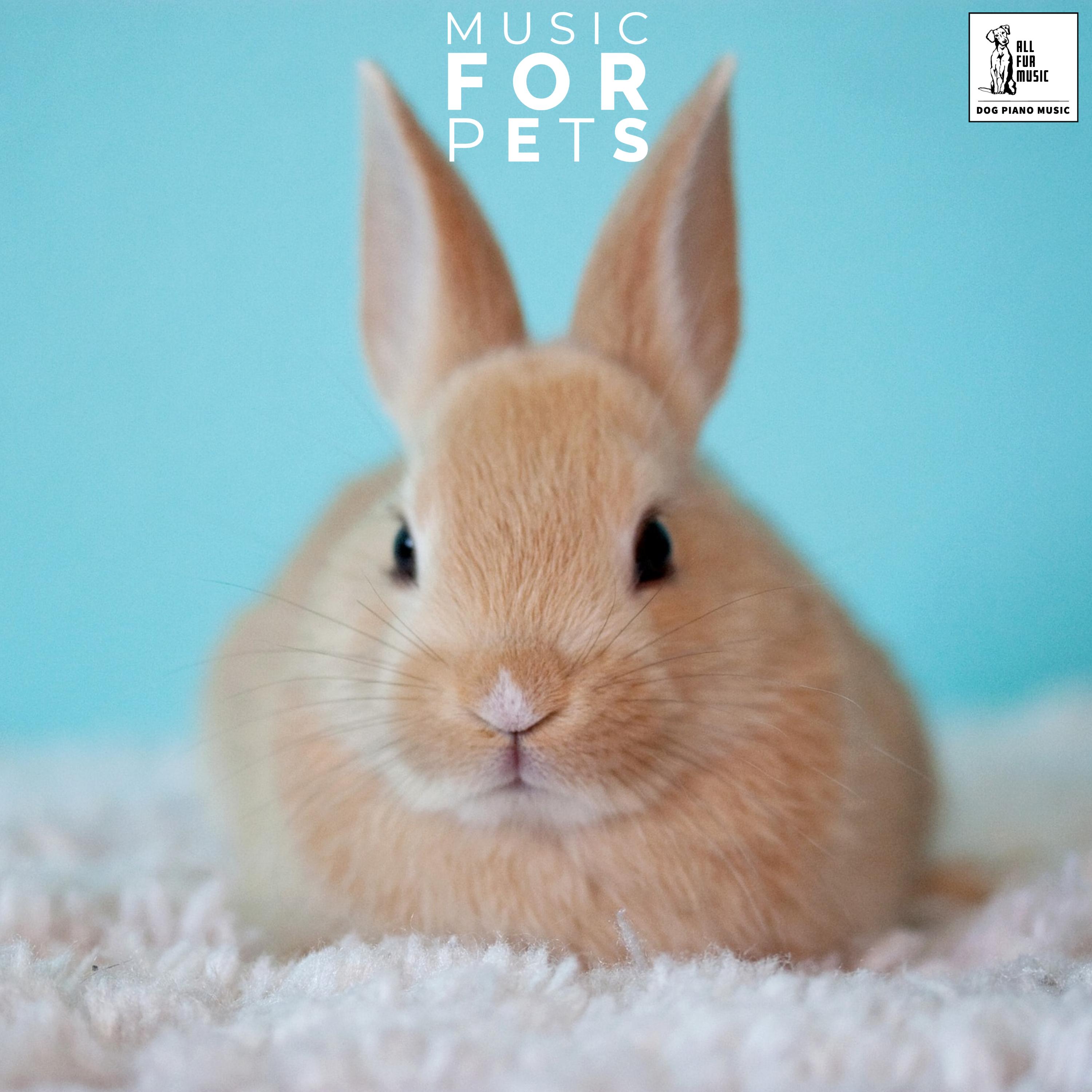 Music For Pets