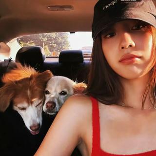 户外运动徒步爬山旅行自驾必备音乐