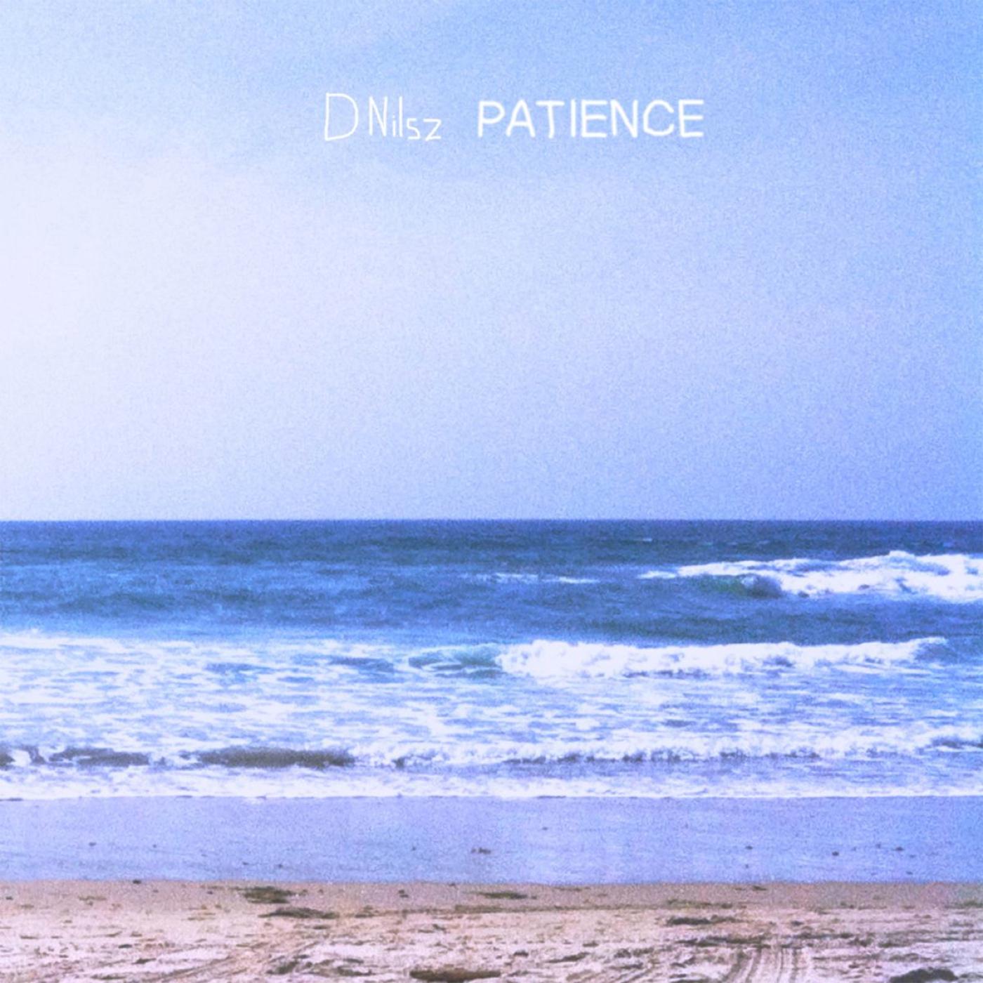 D Nilsz - Patience