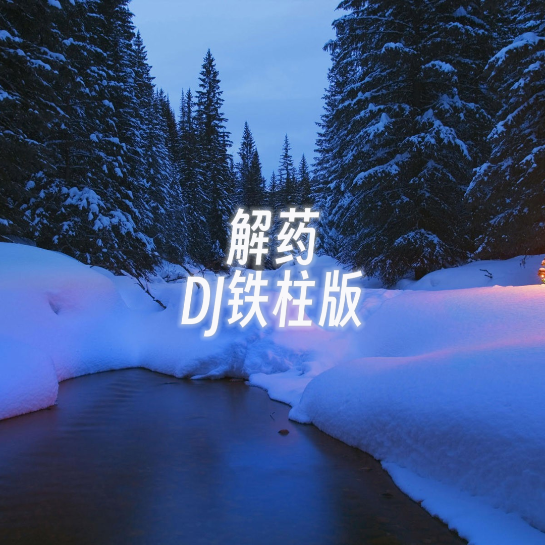 解药（DJ铁柱版）专辑