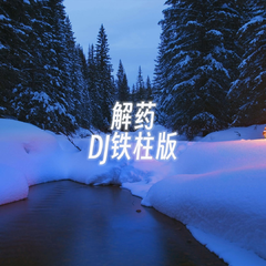 解药（DJ铁柱版）