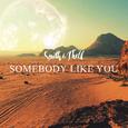 Somebody Like You