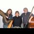 Fraunhofer Saitenmusik