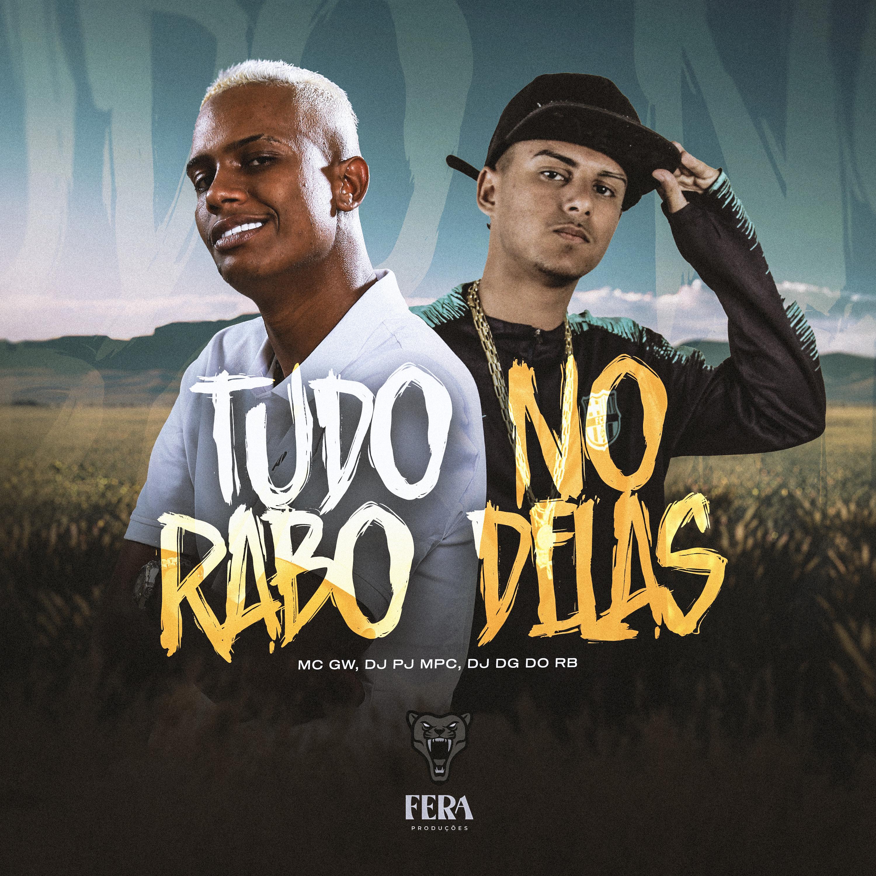 Dj Dg Do Rb - Tudo no Rabo Delas