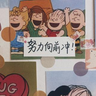 B站视频