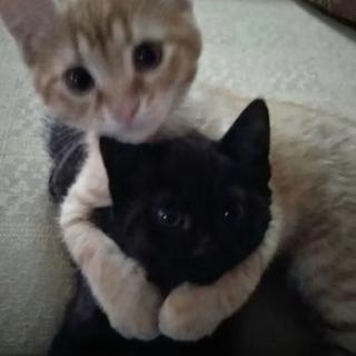 解不开的心结 就让时间来解