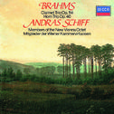 Brahms: Horn Trio in E flat, Op.40 - 4. Finale (Allegro con brio)专辑