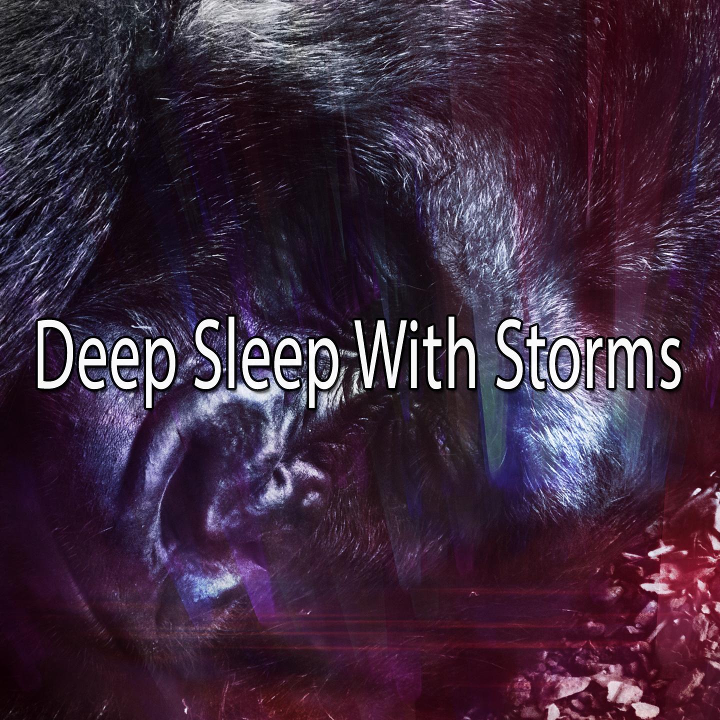 Deep Sleep With Storms专辑