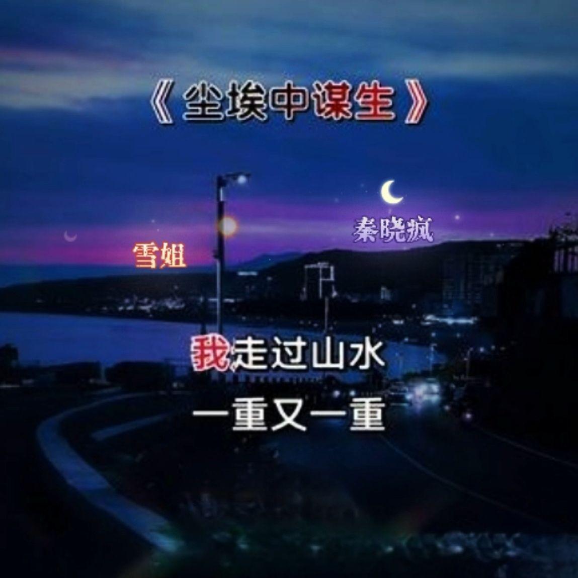 尘埃中谋生