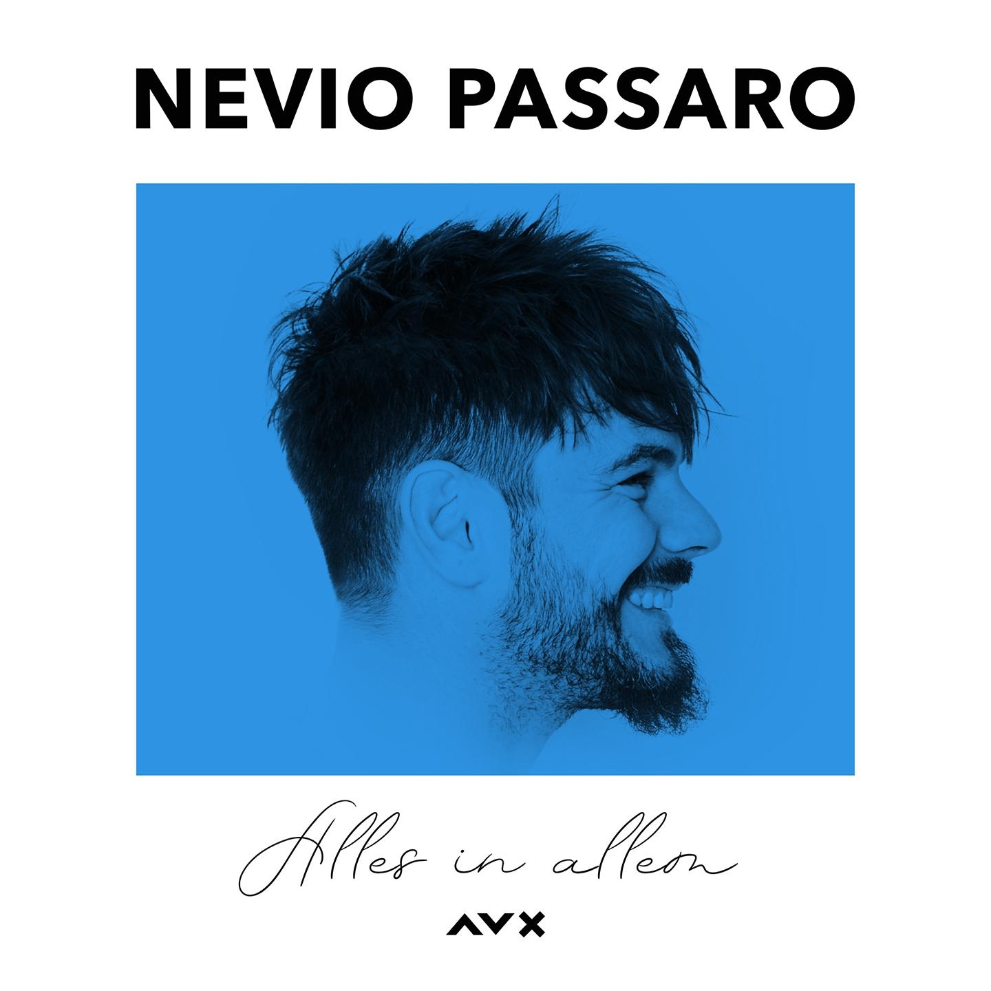Alles in allem (Acoustic)