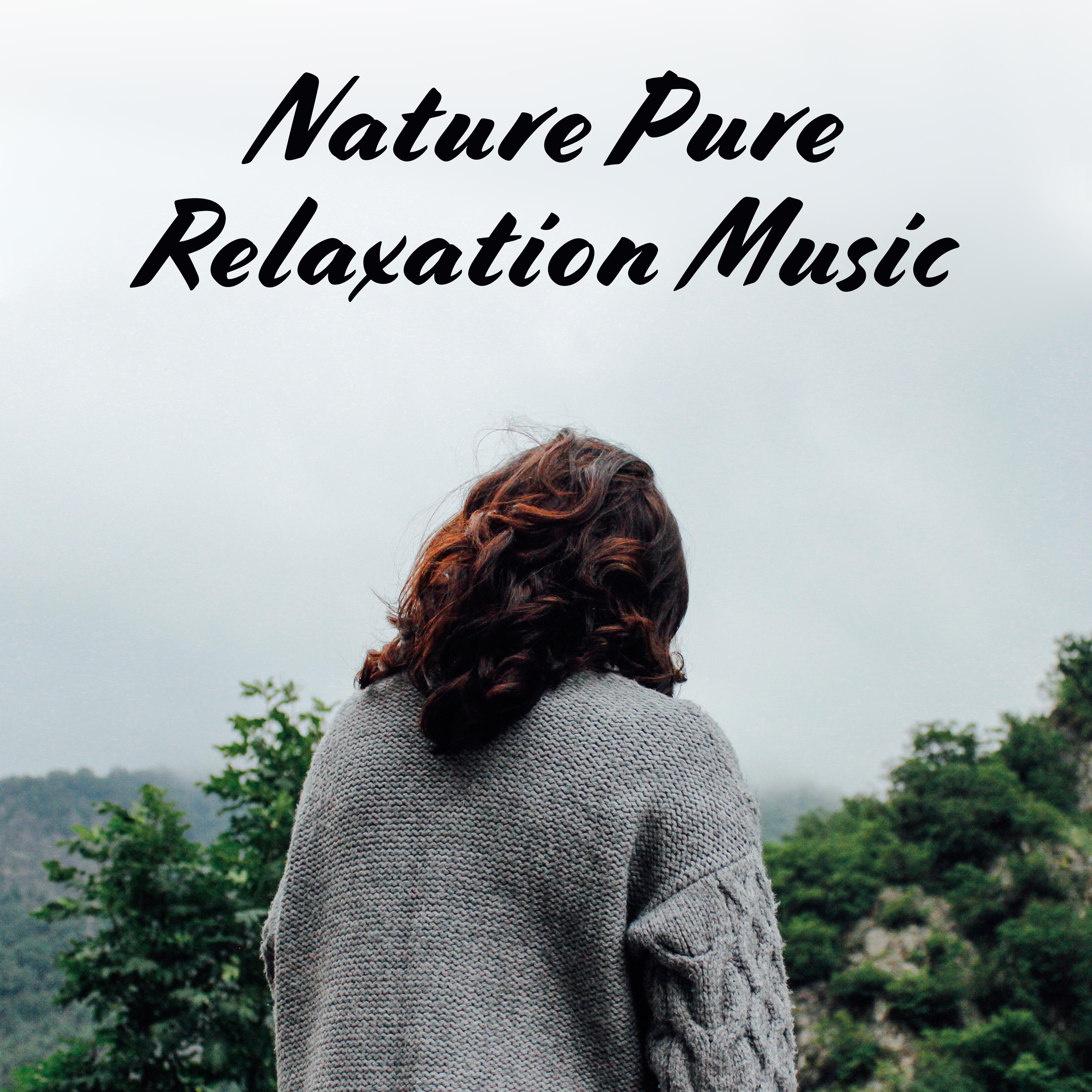 Nature Pure Relaxation Music: New Age 15 Soothing Songs for Calm & Relax After Tough Day专辑