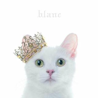 Aimer 2018 Asia Tour Live 3日4日歌单