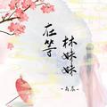在等林妹妹
