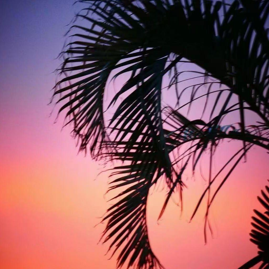 浆果 （纯音乐）