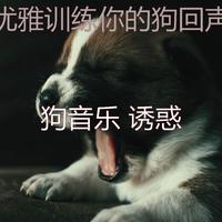 练霓裳的诱惑