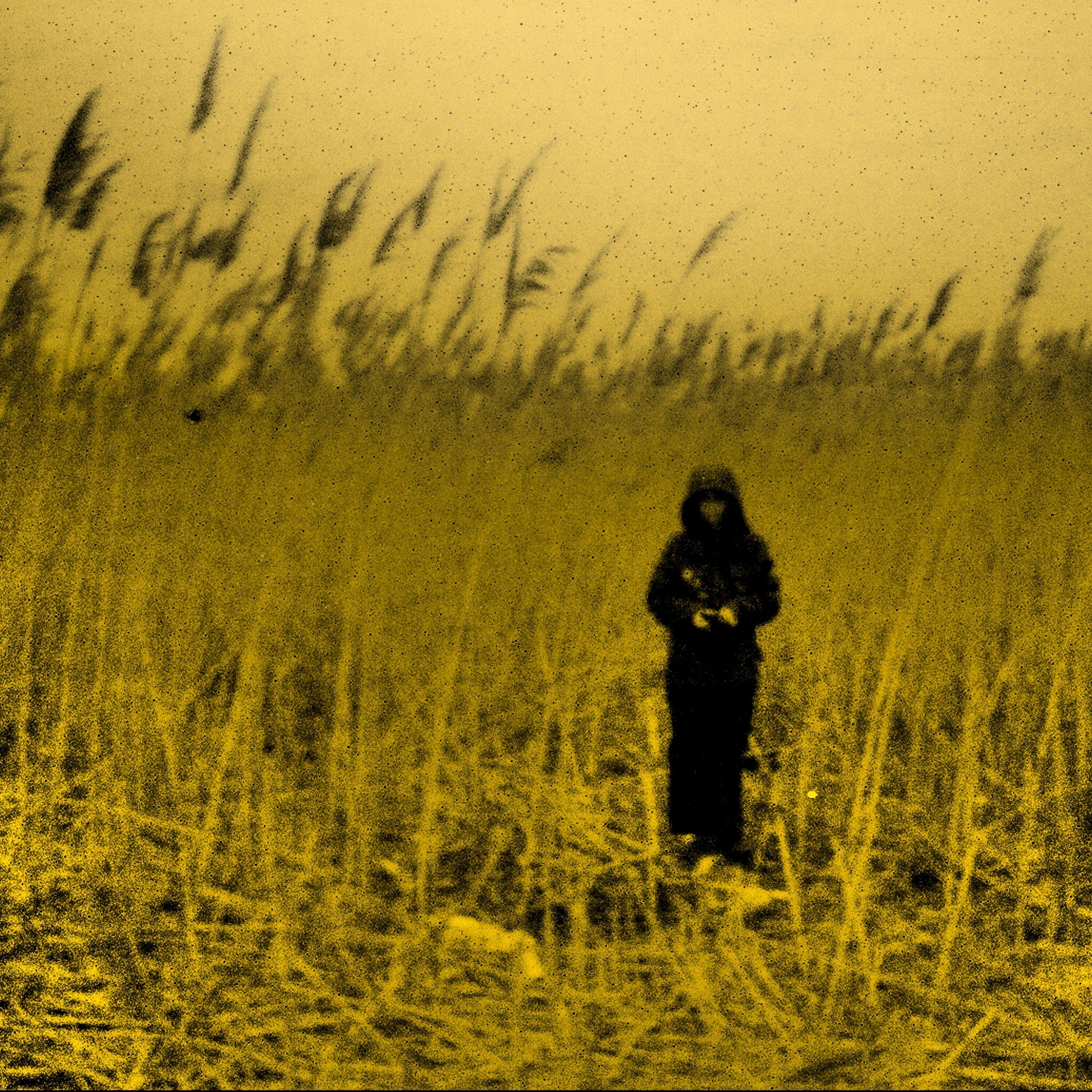 Rocking With The Best(文文,止水,FY鱼 Remix)