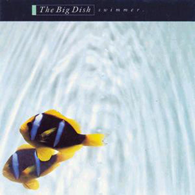 The Big Dish - Second Swimmer