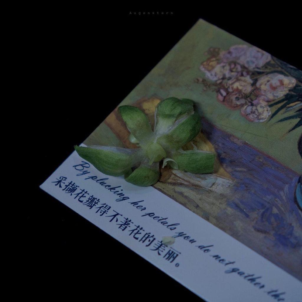 气 球 爆 炸 啦