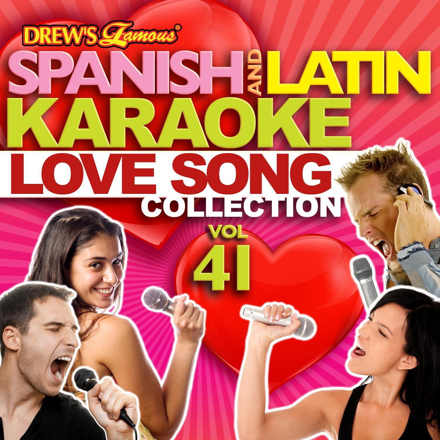 Spanish And Latin Karaoke Love Song Collection, Vol. 41