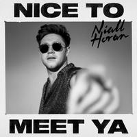 Niall Horan - Nice To Meet Ya (piano Tutorial Easy)