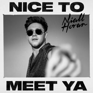 Niall Horan-Nice To Meet Ya 伴奏 （升4半音）