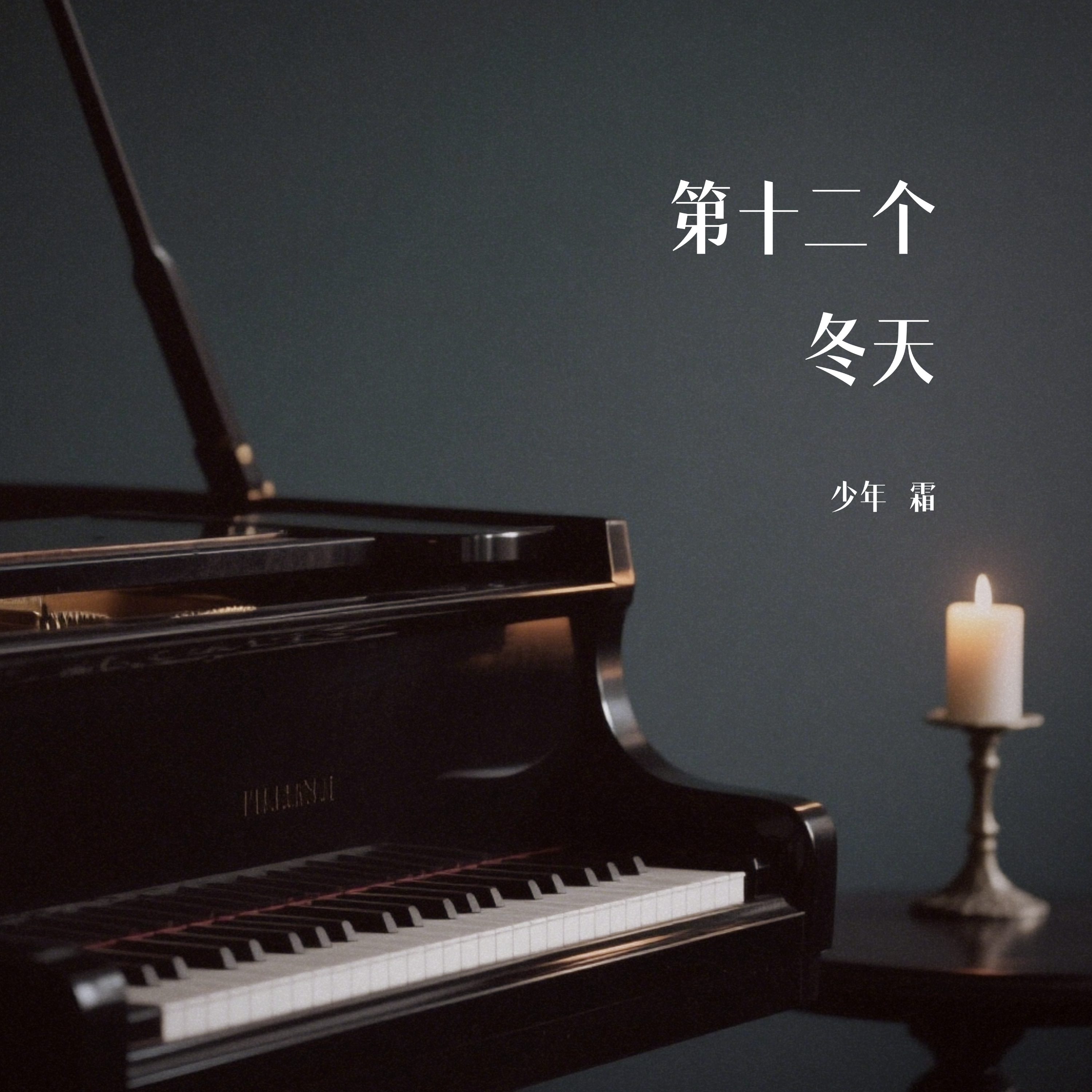 第十二个冬天