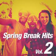 Spring Break Hits, Vol. 2专辑
