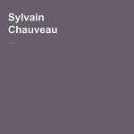 Dernière Etape avant le Silence (Sylvain Chauveau Remix)